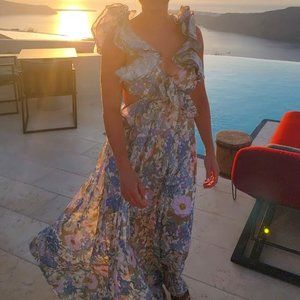 Vici Zabelle Floral Maxi Dress